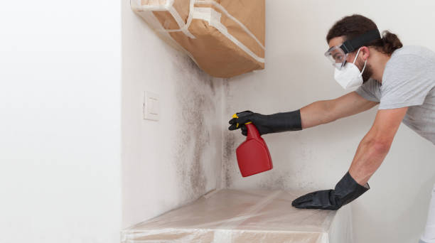 Professional Crawl Space Mold Remediation technician working in Rockwood, MI