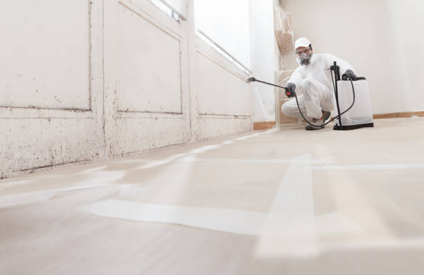 24/7 Emergency Crawl Space Mold Remediation experts in Rockwood, MI