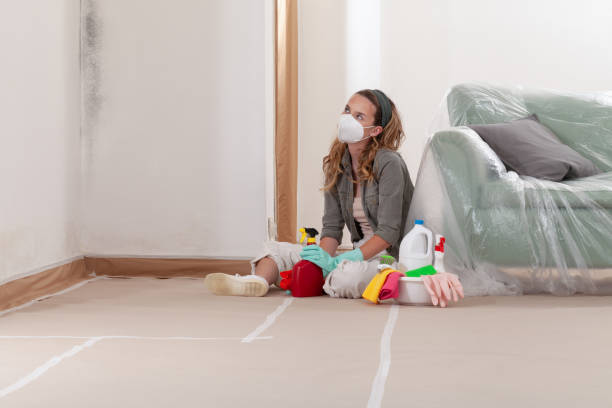 Reliable Crawl Space Mold Remediation contractor in Rockwood, MI by 24 Hour Mold Removal